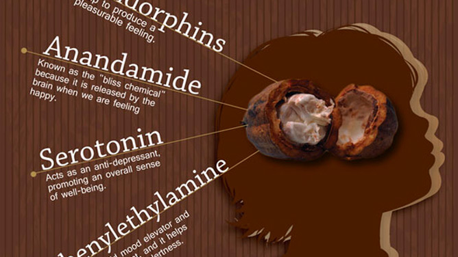 Benefits Of Cacao - NutriLiving Infographics